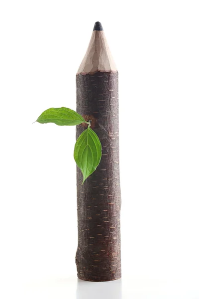 Lápiz de madera con hoja aislada en blanco —  Fotos de Stock