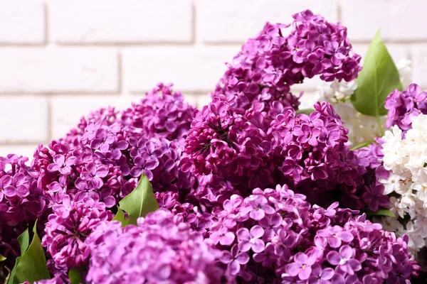 Mooie lila bloemen in de kamer close-up — Stockfoto