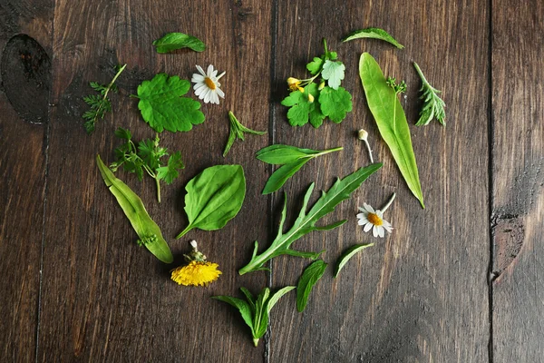 Různé léčivé rostliny na dřevěné pozadí — Stock fotografie