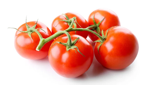Bouquet de tomates fraîches isolé sur blanc — Photo