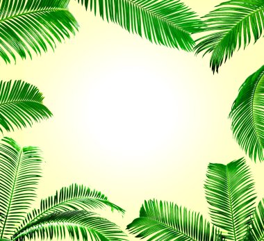 Açık renkli çerçeve yeşil palmiye yaprakları