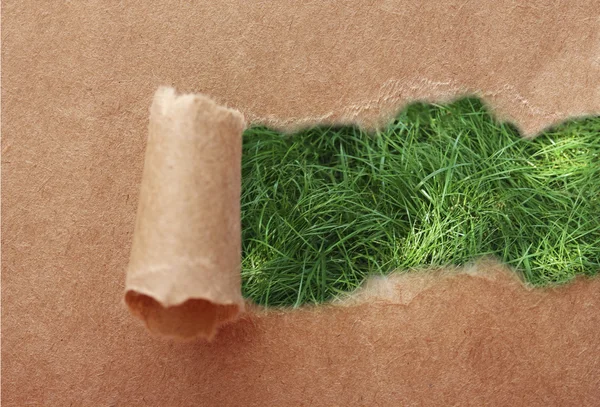 Ripped paper hole with grass background inside — 图库照片