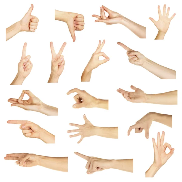 Collage of  hands showing different gestures, isolated on white — Stock Photo, Image