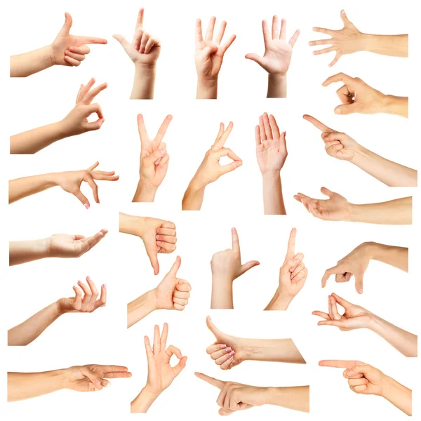 Collage of  hands showing different gestures, isolated on white — Stock Photo, Image