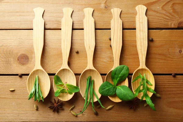 木制的勺子与新鲜的药草和香料 — 图库照片