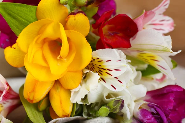 Bellissimi fiori primaverili, primo piano — Foto Stock