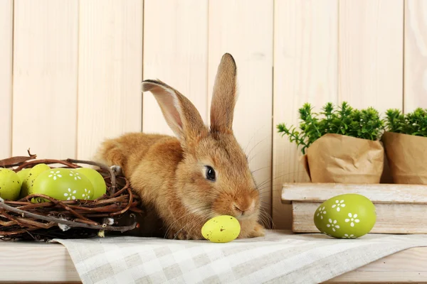 Niedliche rote Kaninchen mit Ostereiern im Regal auf hölzernem Wandhintergrund — Stockfoto