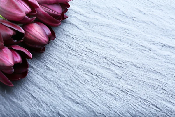 Gyönyörű lila tulipán szürke háttér — Stock Fotó