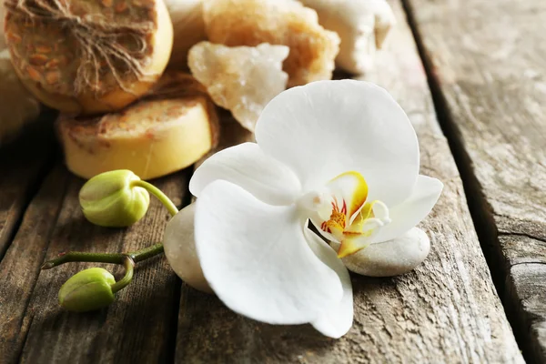 Stilleben med vackra blommande orkidé blomma — Stockfoto