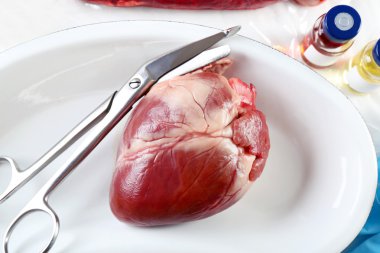 Tablo Araçları ile tıbbi metal tepsi kalp organ yakın çekim