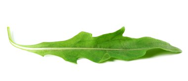 Yeşil roka yaprağı beyaza izole edilmiş.