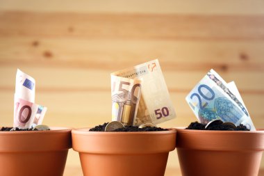 Çiçeklik ahşap arka plan üzerinde büyüyen para