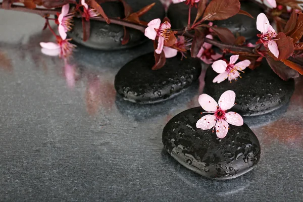 Spa kamienie z wiosennych kwiatów na stole z bliska — Zdjęcie stockowe