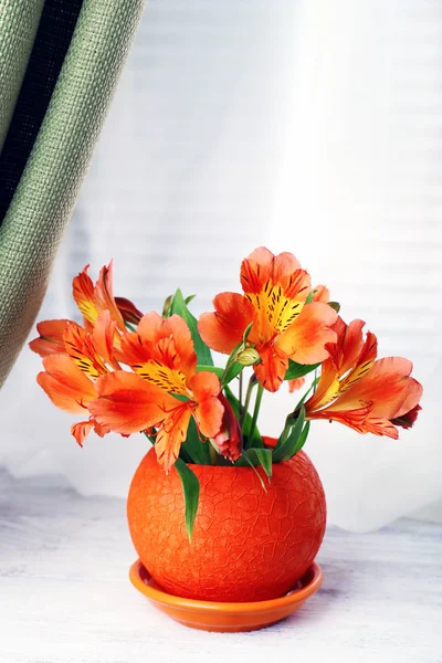 Bella alstroemeria in vaso sul davanzale della finestra — Foto Stock