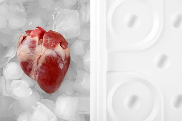 Орган серця в холодильнику крупним планом — стокове фото