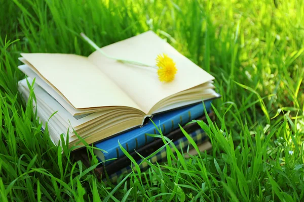 Skládané knihy v trávě, venku — Stock fotografie
