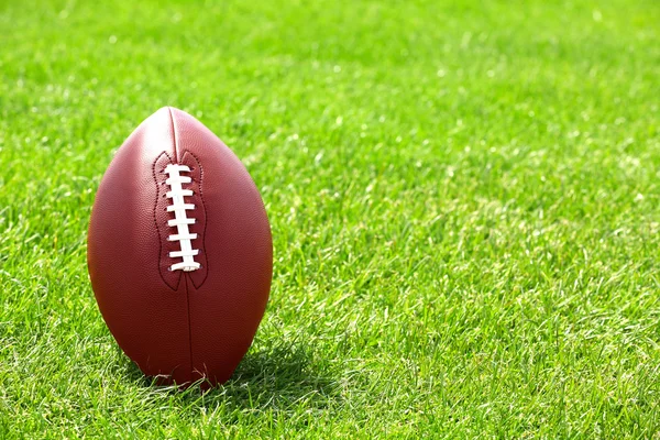 Rugby ball on green field — Stock Photo, Image