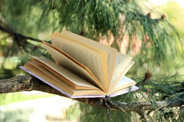 Book on tree branch, close-up — Stock Photo, Image