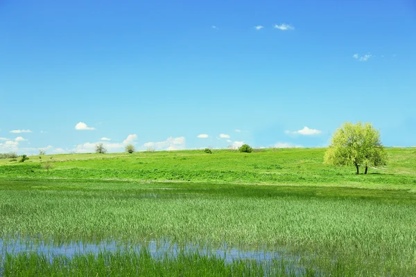 Rive de la rivière sur fond de ciel bleu — Photo