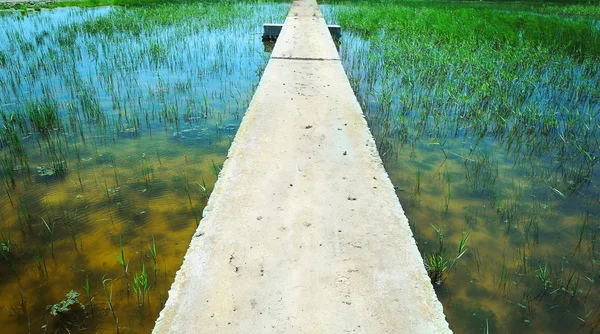 Ponte de betão através do rio no país — Fotografia de Stock