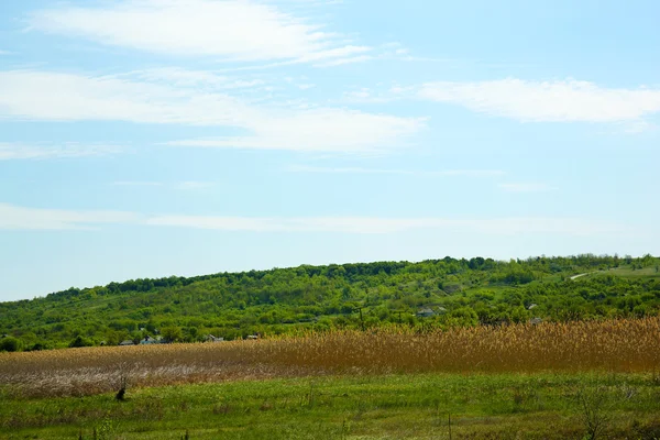 Vacker utsikt över landsbygden över blå himmel bakgrund — Stockfoto