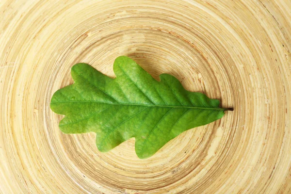 Enda gröna Eklöv på trä bakgrund — Stockfoto