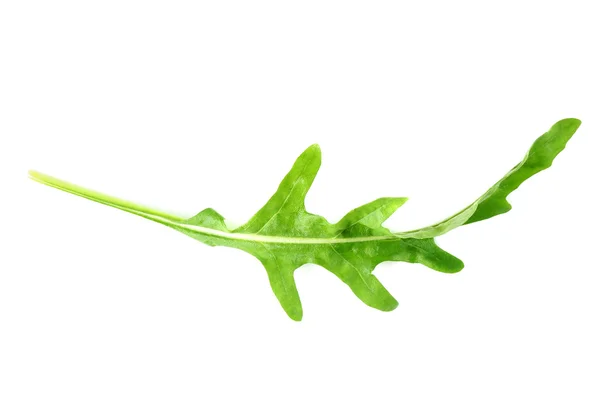 Green arugula leaf isolated on white — Stock Photo, Image