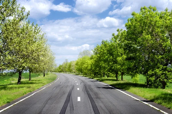 Asfaltweg door het groene veld in lente — Stockfoto