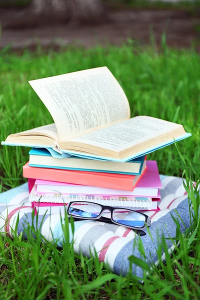 Livres et verres sur oreiller sur herbe gros plan — Photo