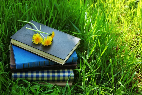 Livros empilhados na grama, fora — Fotografia de Stock