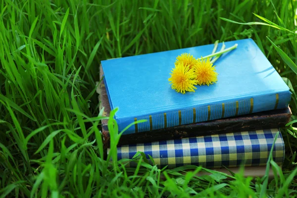 Libros apilados en la hierba, afuera — Foto de Stock