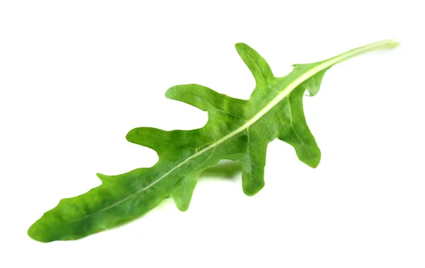 Groene rucola blad — Stockfoto