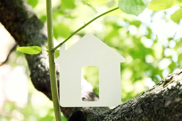 Casa na árvore, close up — Fotografia de Stock