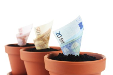 artan para üzerinde beyaz izole Çiçeklik