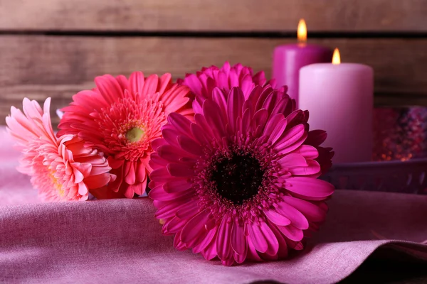Hermosas flores de gerberas brillantes — Foto de Stock