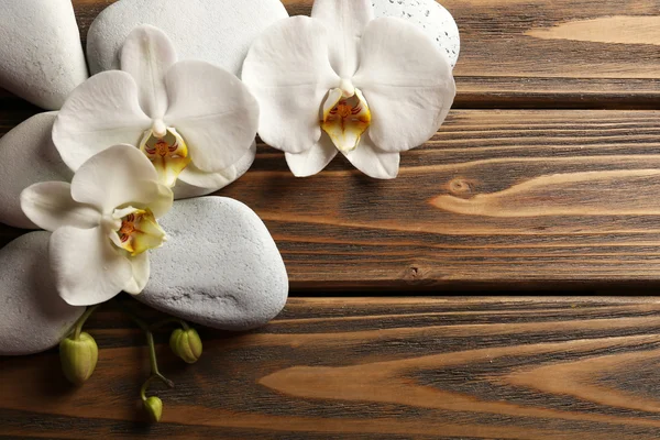 Piedras de spa y flor de orquídea — Foto de Stock