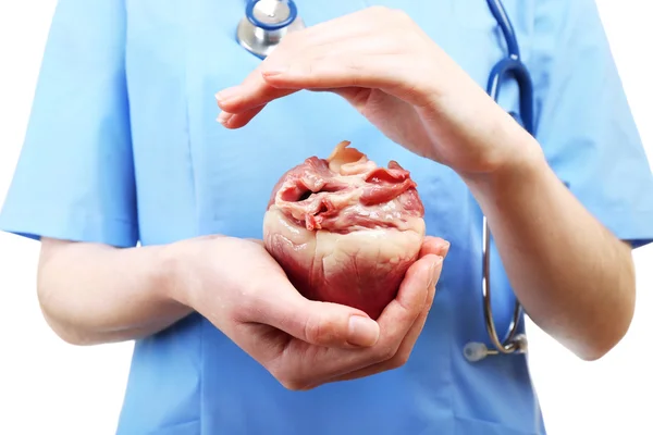 Corazón en manos del médico aislado en blanco — Foto de Stock