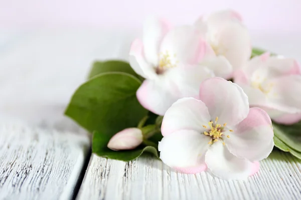 Apfelblüte mit Blättern auf Holztisch — Stockfoto