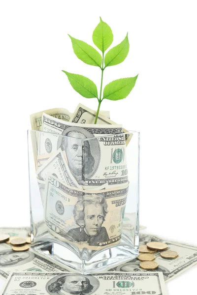 Peníze do sklenic s rostlinou izolovaných na bílém — Stock fotografie