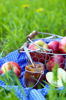 elma reçel kavanoz ve çimlerin üzerine taze kırmızı elmalar