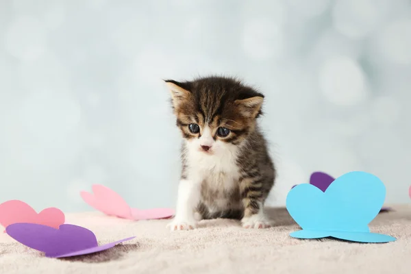 Niedliches kleines Kätzchen auf hellem Hintergrund — Stockfoto