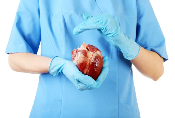 Corazón en manos del médico aislado en blanco — Foto de Stock