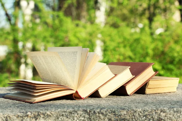 Stack of books outdoors, on blurred background — Stock Photo, Image