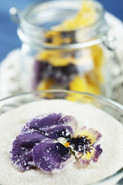 Candied sugared violet flowers — Stock Photo, Image