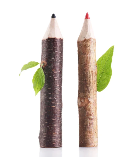 Деревянные карандаши с листьями, изолированными на белом — стоковое фото