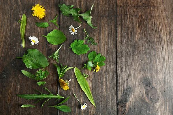 木製の背景にさまざまな薬用植物 — ストック写真