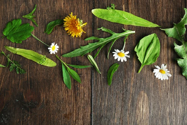 Várias plantas medicinais em fundo de madeira — Fotografia de Stock