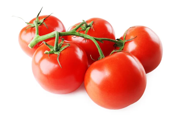 Bos van verse tomaten geïsoleerd op wit — Stockfoto