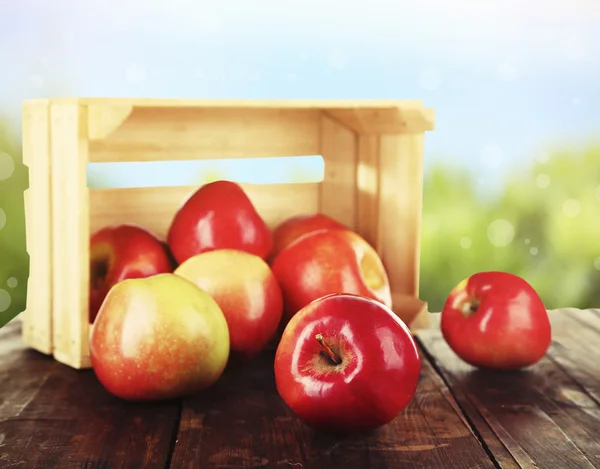Pommes rouges renversées près de la caisse sur une table en bois sur fond de nature — Photo