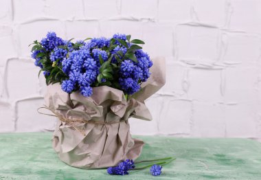 Beautiful bouquet of muscari - hyacinth in vase on wall background clipart